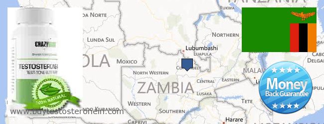 Gdzie kupić Testosterone w Internecie Zambia